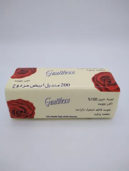 Individually Wrapped Exquisite Facial Tissue Paper Packs Puff Facial Cleansing Wholesale Price 