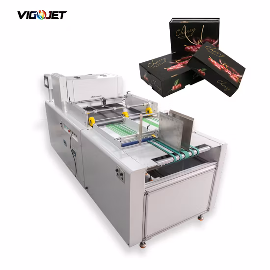 Single Pass Printer Printing Machine for Kraft Paper Bag Corrugated Box Carton